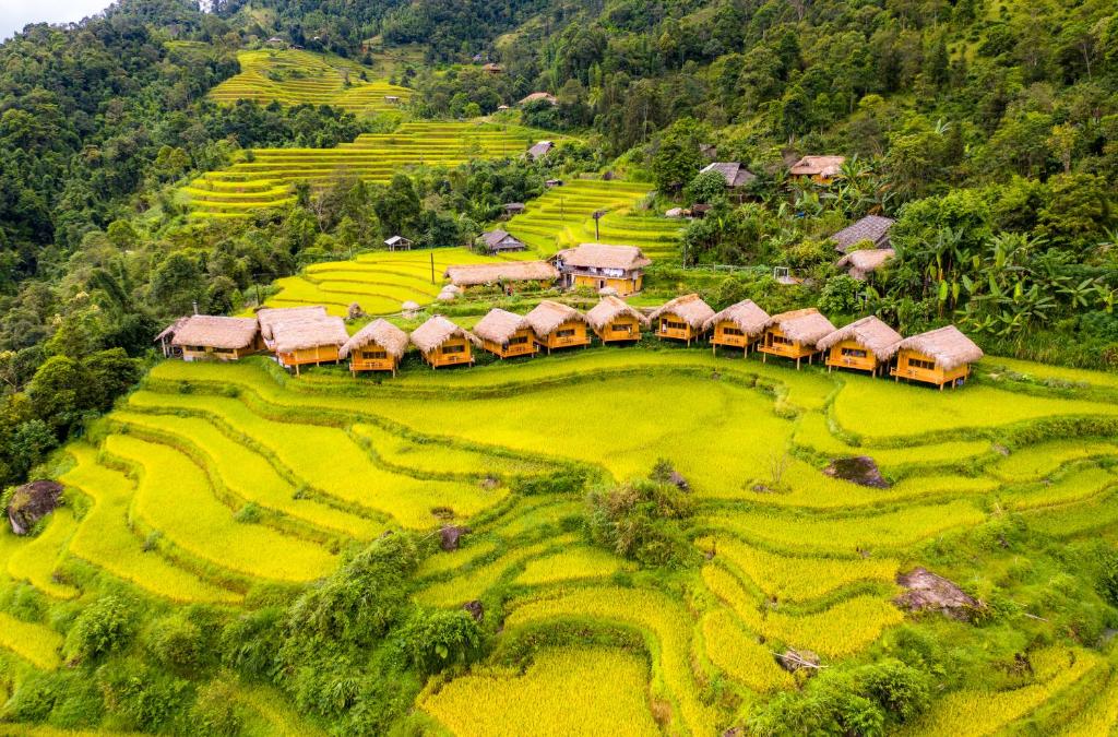 Hoàng Su Phì 