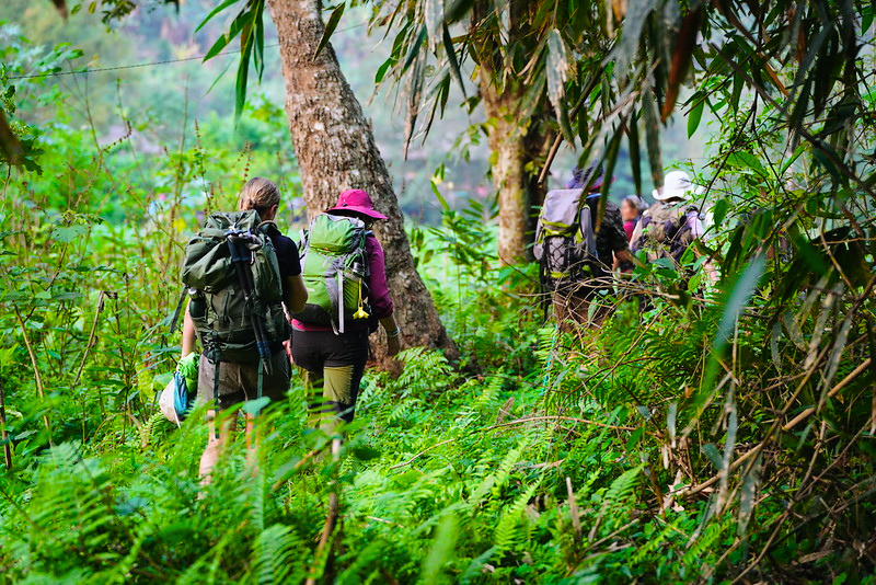 Trekking Vuon Quoc Gia Ba Be