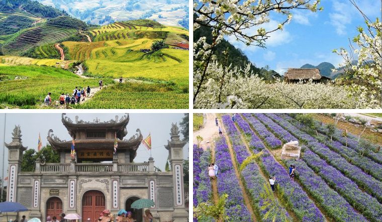 bac-ha-lao-cai