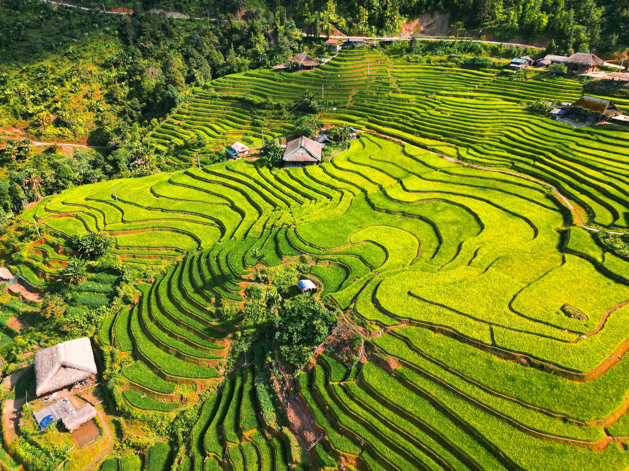 hoang_su_phi_2_9