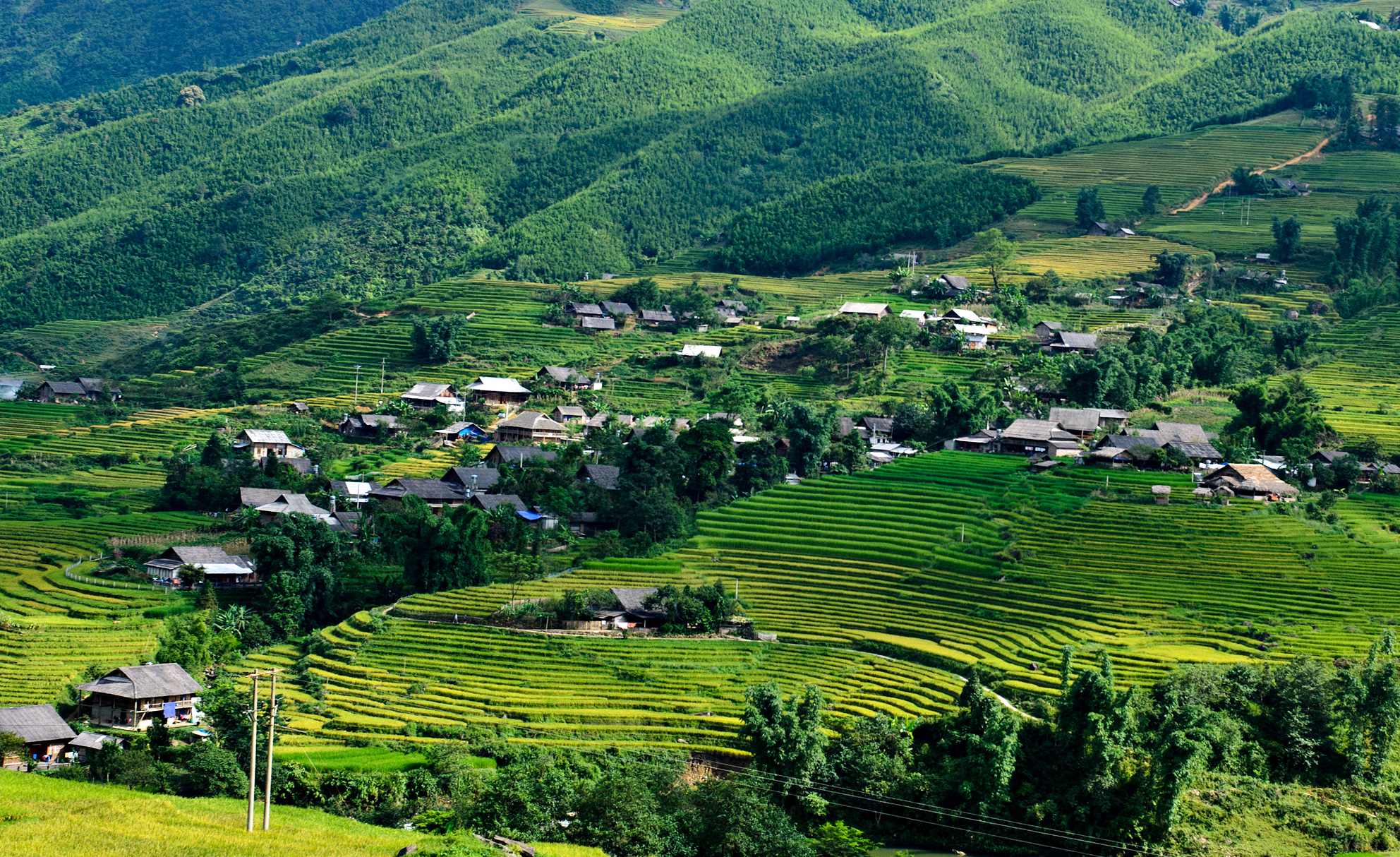 bản tả van