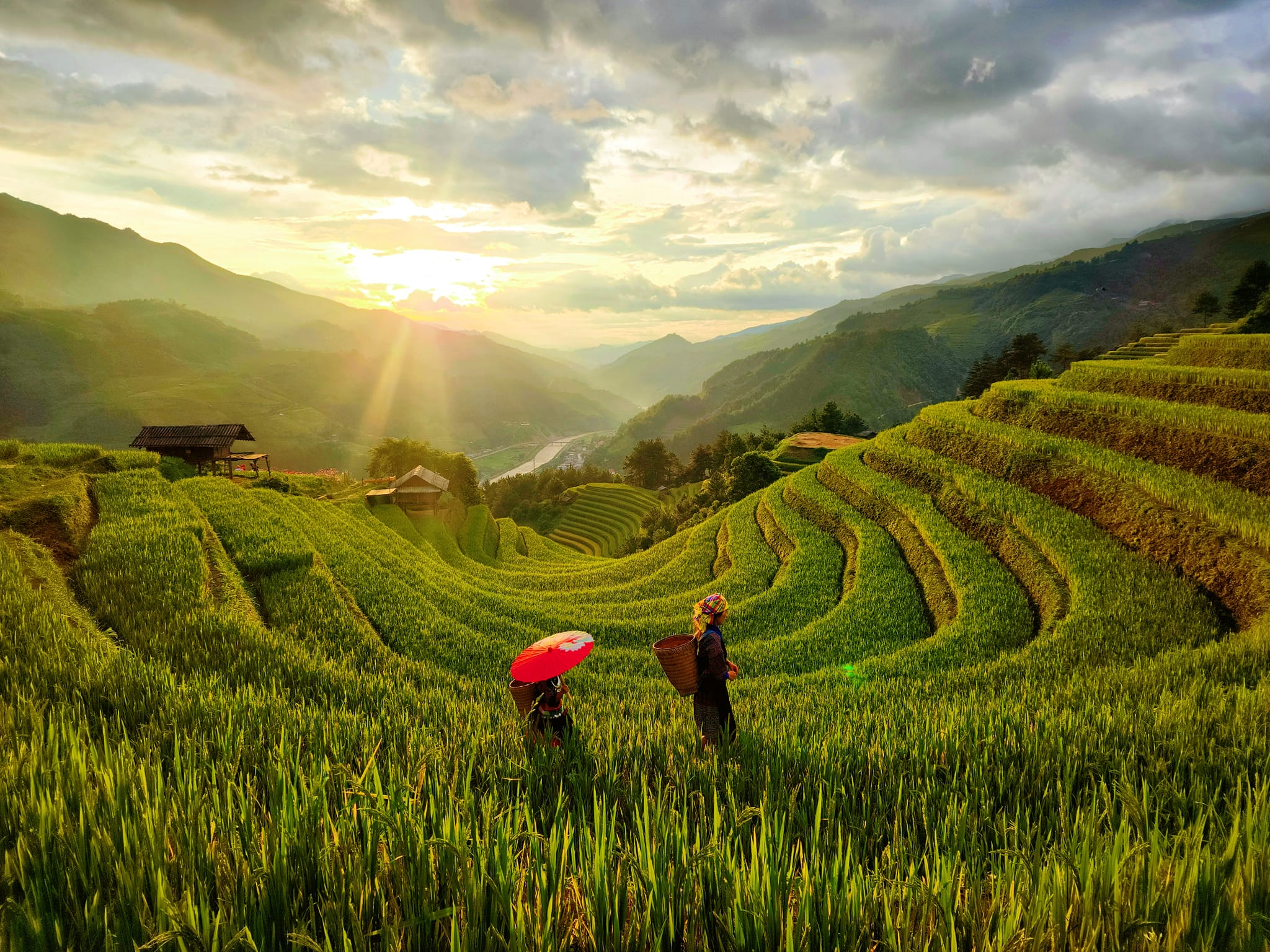 Mù cang chải