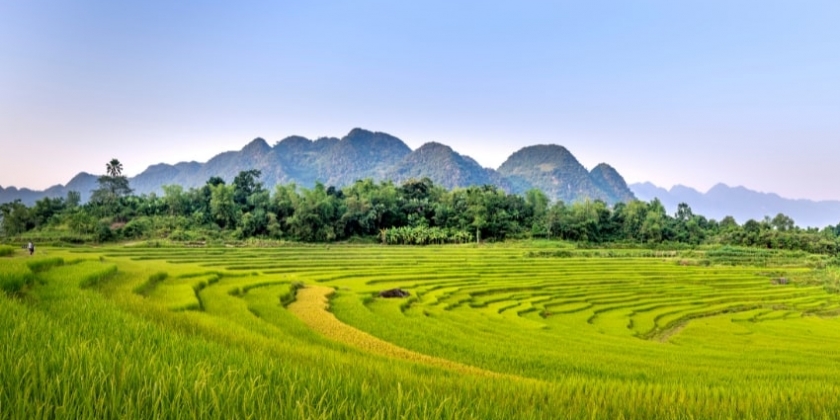pu-luong-