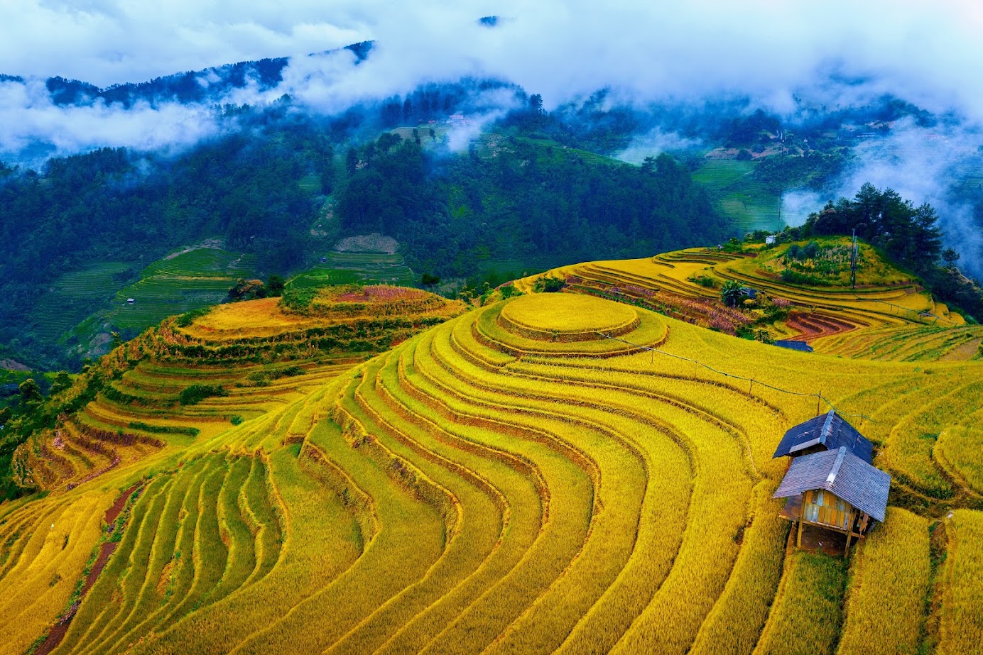 Ruộng bậc thang Mù Cang Chải