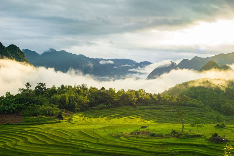 thien-nhien-pu-luong-canh-sac-me-hoac-long-nguoi