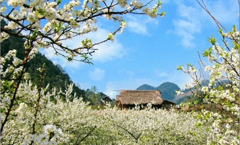Bắc Hà 