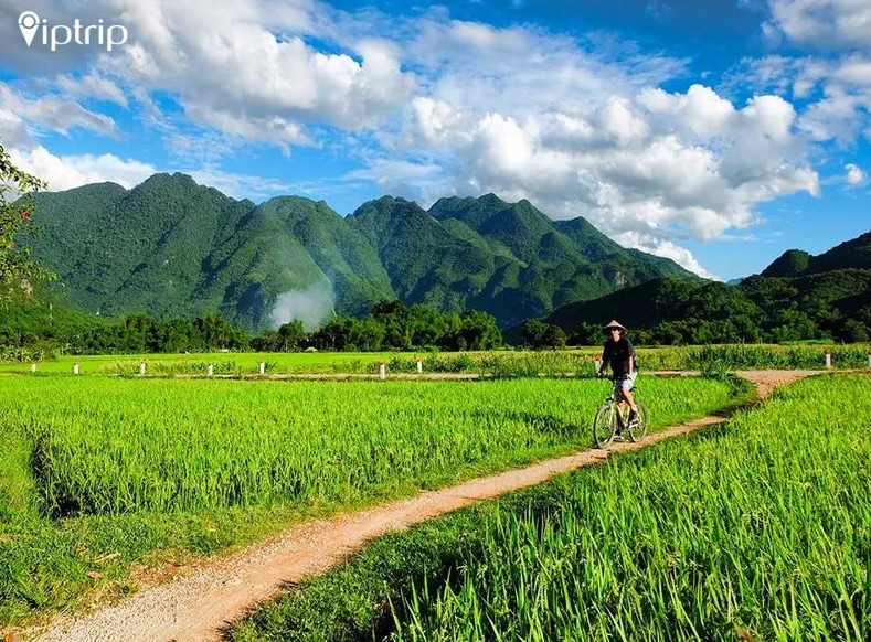 Mai Châu