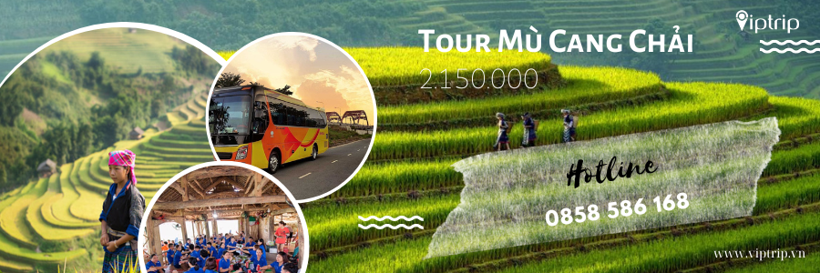 Mù Cang Chải 