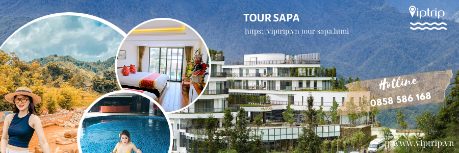 Sapa