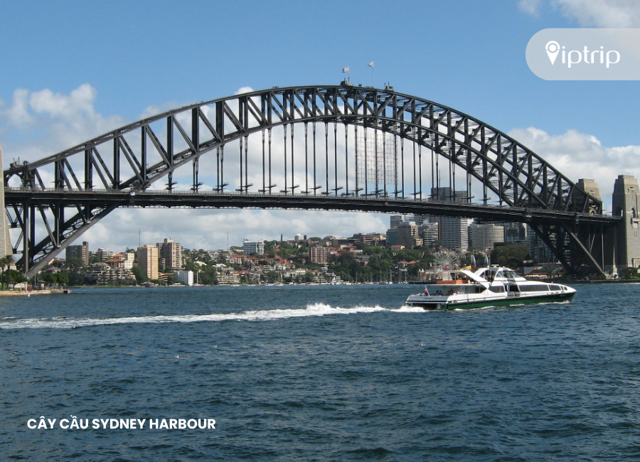 cay-cau-sydney-harbour