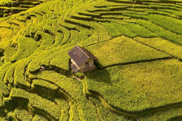 Bản Tả Van - Nơi chốn yên bình, đậm chất chữa lành giữa cuộc sống vội vã
