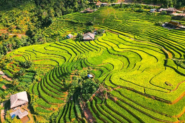Bật mí 4 điểm du lịch nổi tiếng của Hoàng Su Phì (Hà Giang)