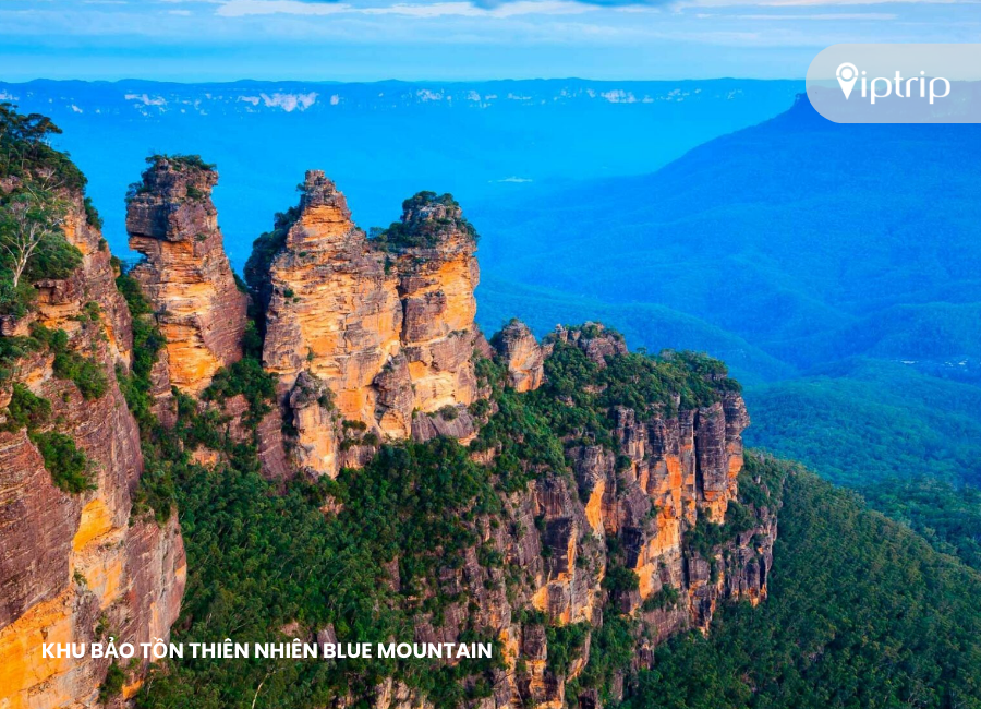 khu-bao-ton-thien-nhien-blue-mountain