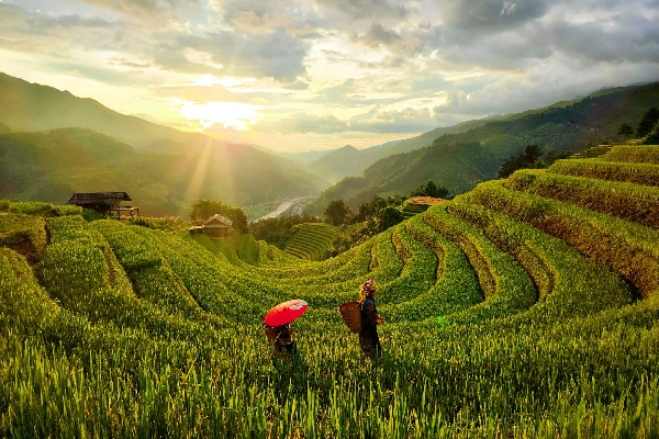 Mù Cang Chải - nàng thơ của núi rừng tây bắc phải ghé một lần