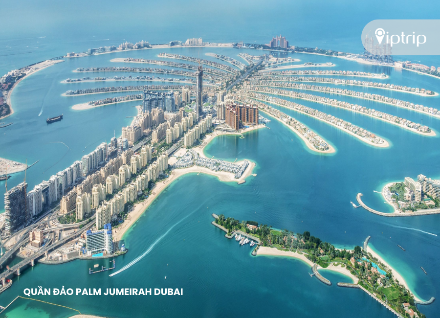 quan_dao_palm_jumeirah