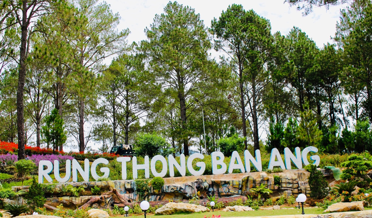 rung-thong-ban-ang