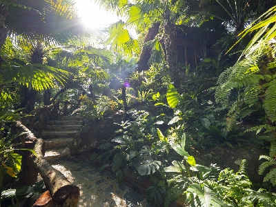 Asia Tropical Resort & Spa