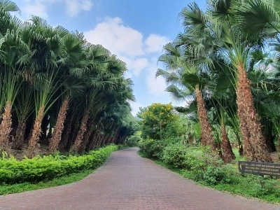 Emeralda Resort Ninh Bình