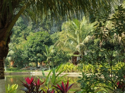 Fairy Mountain Retreat