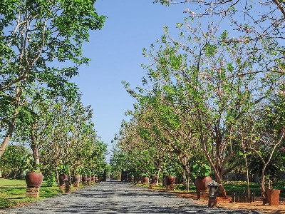 Hồ Tràm Beach Boutique Resort & Spa