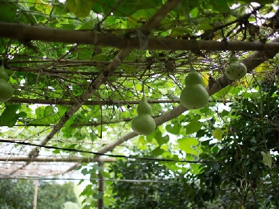 Huế Riverside Boutique Resort & Spa