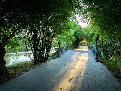 Memorina Ninh Bình Resort