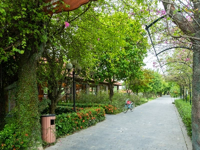 Memorina Ninh Bình Resort