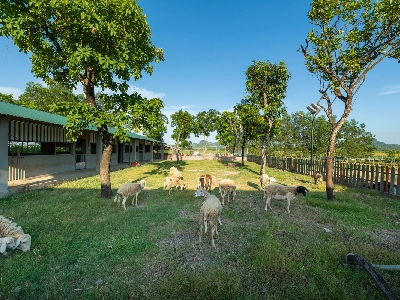 Memorina Ninh Bình Resort