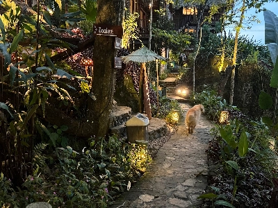 Pù Luông Jungle Lodge