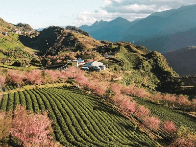 Sapa CatCat Hills Resort & Spa