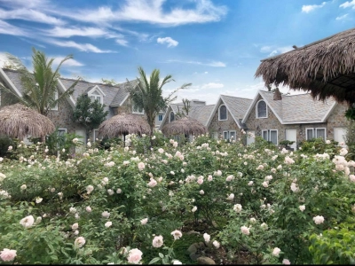 SoNa Resort Ninh Bình