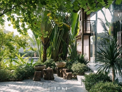 Toki Retreat Vân Long