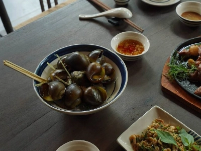 Toki Retreat Vân Long