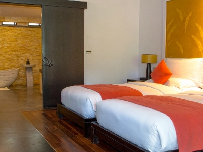 Deluxe Villa Garden View