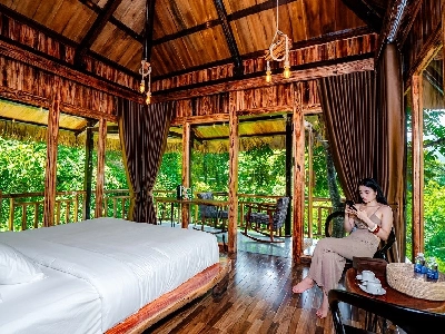 Jungle Adventure Suite