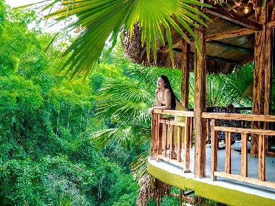 Jungle Adventure Suite