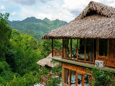 Tropical Paradise Premier