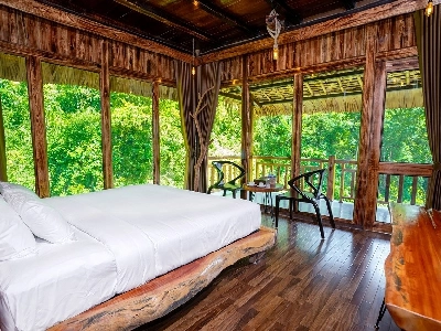 Tropical Paradise Premier