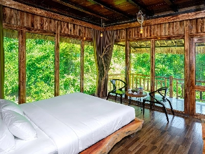 Tropical Paradise Premier