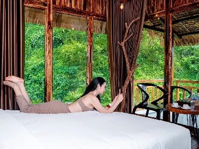 Tropical Paradise Premier