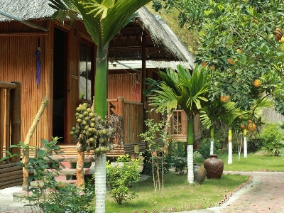 Junior Family Garden View