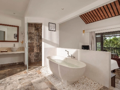 Deluxe Rice Field View