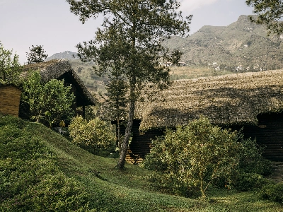 Bungalow Mountain View