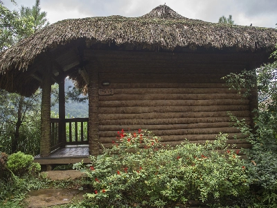 Deluxe Bungalow Double