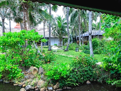 Bungalow Garden View King