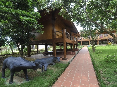 Nhà sàn cao cấp (Có điều hòa)