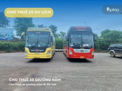 Cho thuê xe giường nằm đi Đồ Sơn