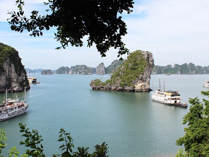 Tour Hải Dương Đi Hạ Long