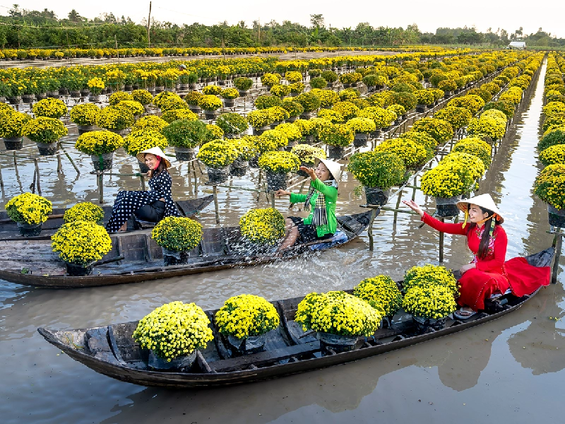 Tour Hoà Bình Đi Miền Tây
