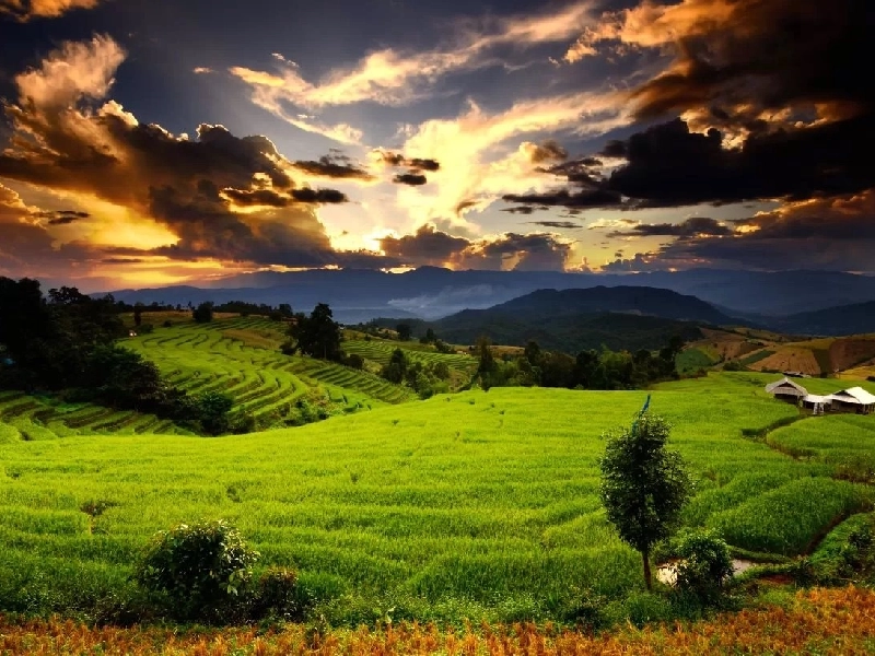 Tour Sơn La Đi Tây Nguyên